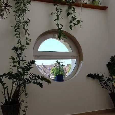 Casa de hóspedes Aquarius Szeged