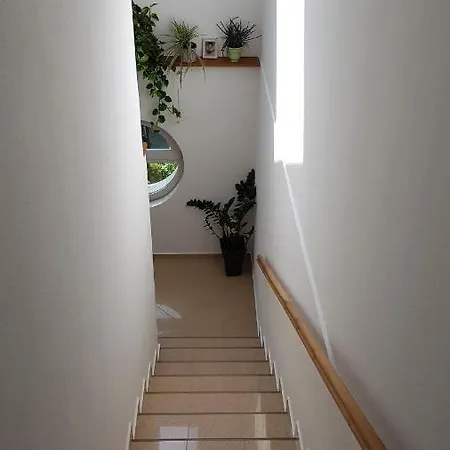 Aquarius Vendeghaz Gasthuis Szeged