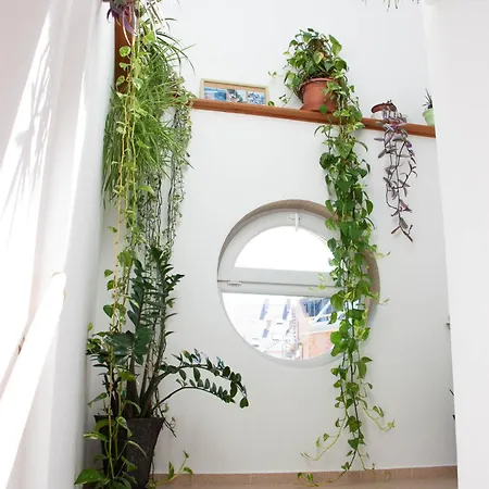 Aquarius Vendeghaz Guest house