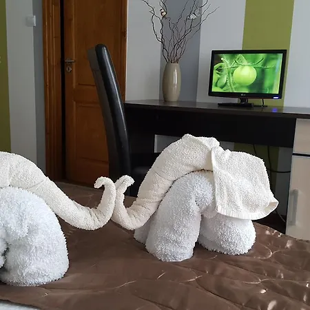 Gasthuis Aquarius Vendeghaz 3*