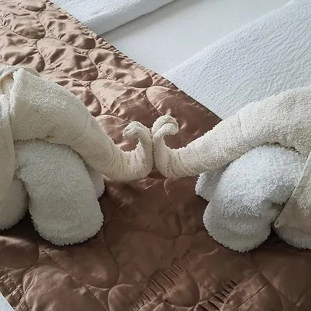 Aquarius Vendeghaz Szeged