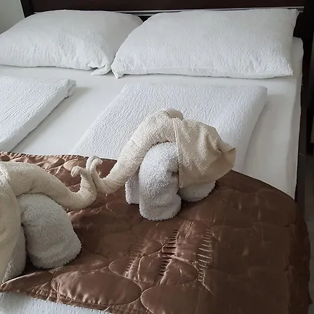 Aquarius Vendeghaz 3*